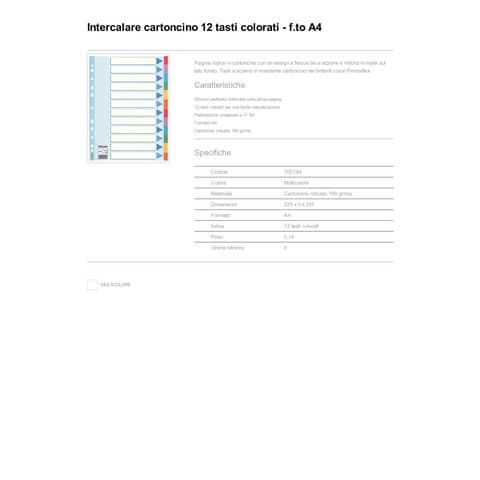 Divisori Esselte intercalari 12 tasti cartoncino 160 gr/mq A4 100194